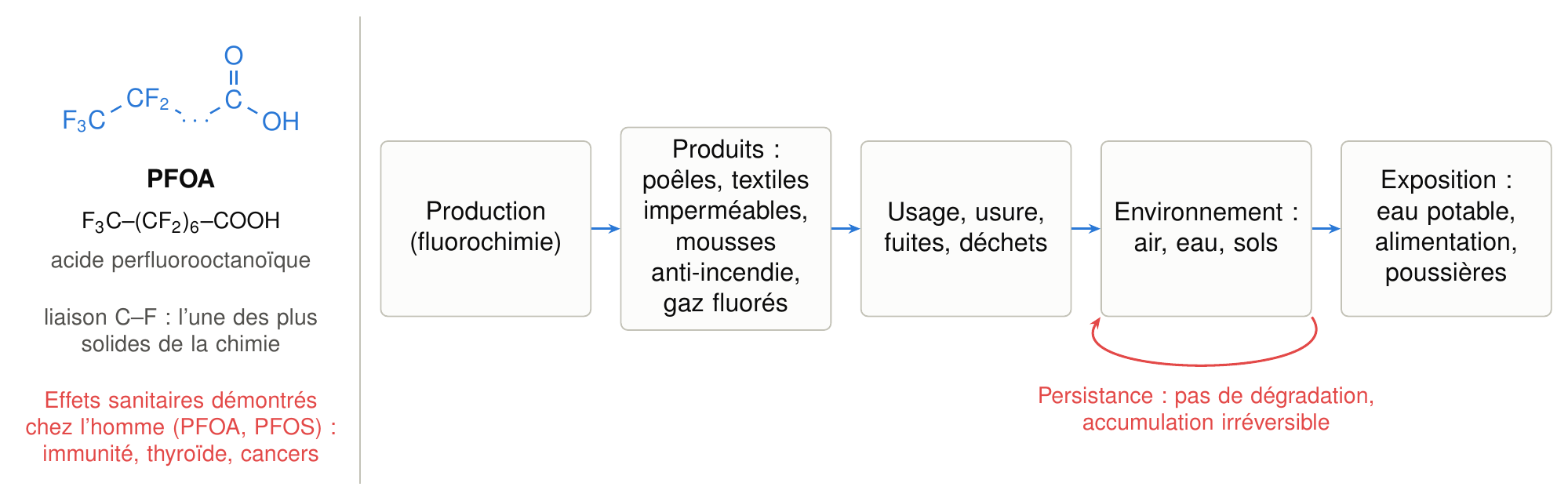 Molécule de PFAS et cycle de vie