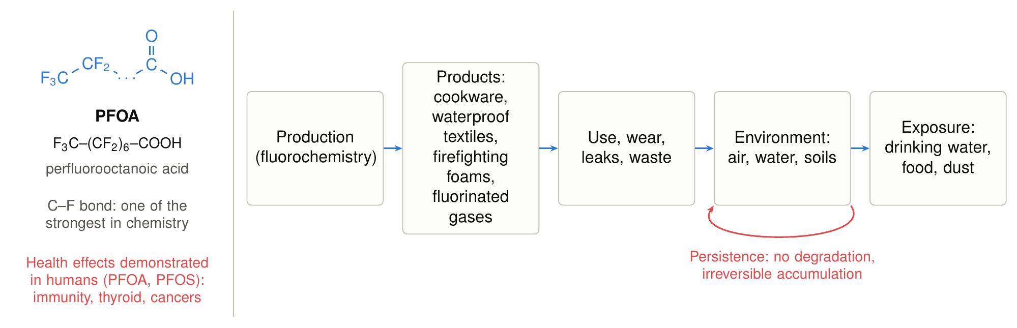 A PFAS molecule and its life cycle